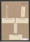 Navicula sp. (de-Toni-Nr.: Genus 1) Zeichnungen Sammlung Grunow Nr. 1381 (NHMW-BOT-W0368340)
